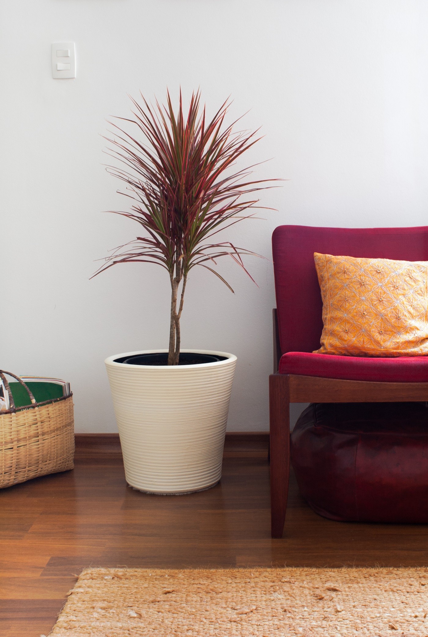 Detail of a minimalist living room with a rustic rug and a red chair decorated with a dracaena plant (Foto: Getty Images)