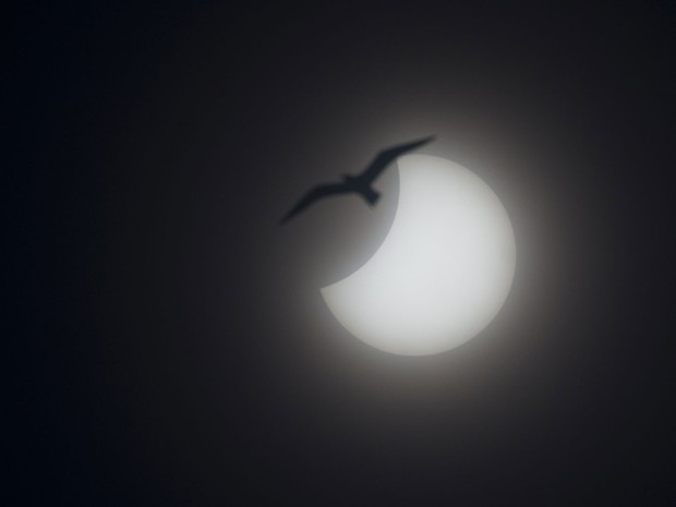 Imagem dá impressão que pássaro está próximo ao eclipse solar desta sexta-feira (20). Imagem foi feita em Nice, na França (Foto: Lionel Cironneau/AP)