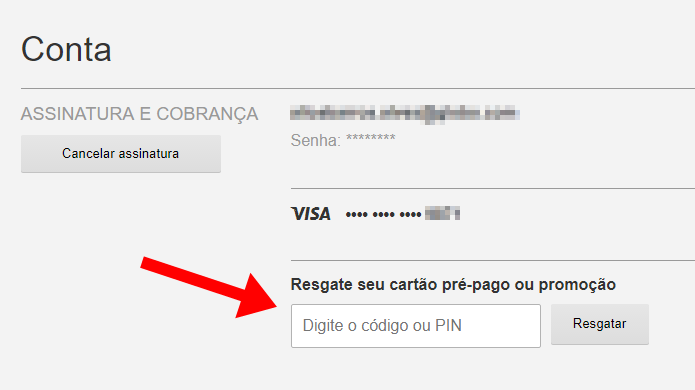 Gerador De Pin Ou Código Do Cartão Pré Pago Netflix - Vários Cartões