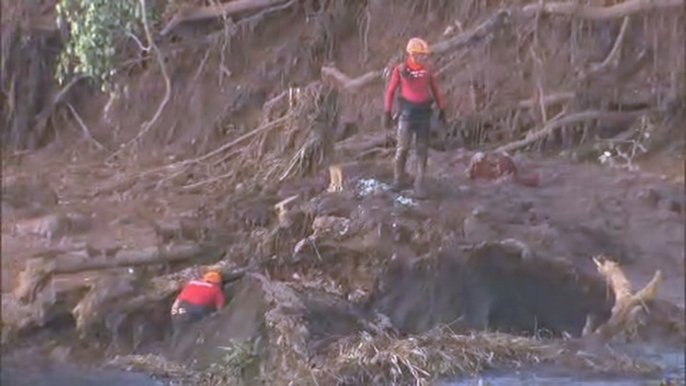 Voluntários observam local onde ônibus foi encontrado no meio da lama em Brumadinho — Foto: Reprodução/TV Globo