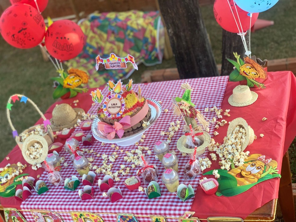 Festa junina com pratos típicos para cães  — Foto: Reprodução/ Layse Barbosa