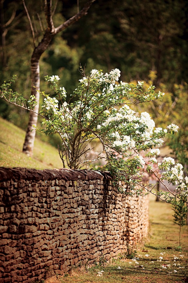 A primavera recheada de flores brancas cobre parte do muro de pedras moledo (Foto: Gui Morelli)