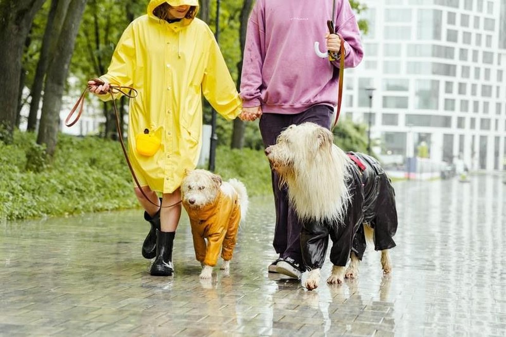 Em passeios com pets durante garoa ou chuva, o tutor pode usar capas próprias para o bicho — Foto: ( DogHero/ Divulgação)