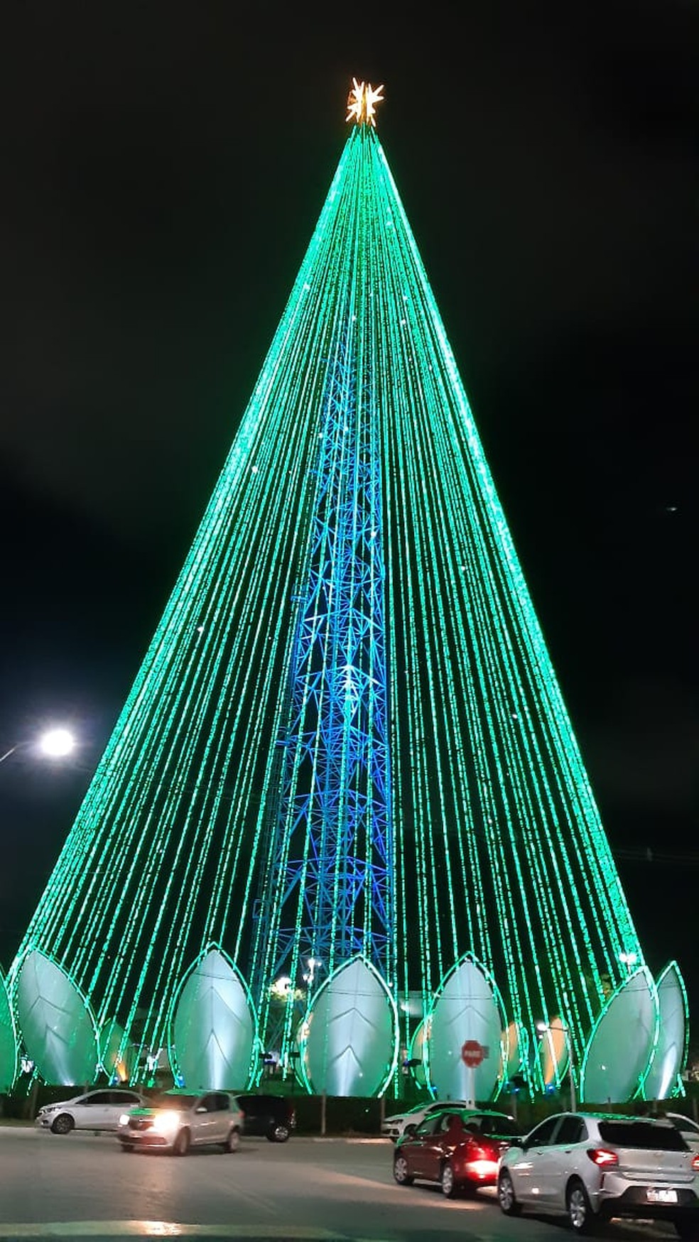 Árvore de Mirassol é acesa em Natal — Foto: Sérgio Henrique Santos/Inter TV Cabugi