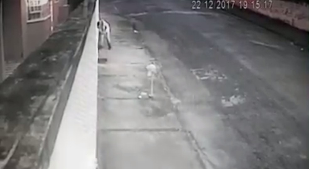 Homem consegue pegar cachorra por portão de casa  (Foto: Reprodução/Câmara de segurança)