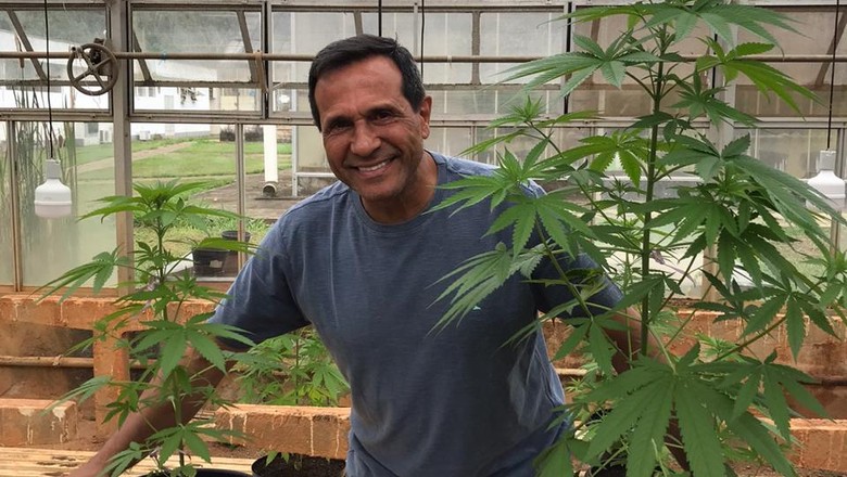 Na Universidade de Viçosa, o professor Derly Silva pretende criar uma disciplina que, além da cannabis medicinal, estude também o cânhamo e o lúpulo (Foto: Divulgação)