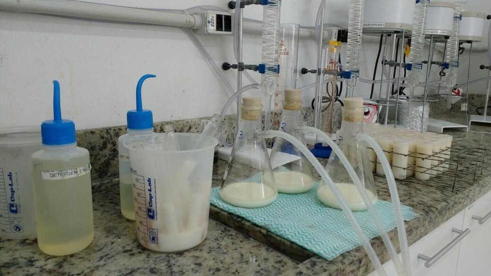 Análise de amostras durante fase da Operação Leite Compensado no RS — Foto: MP/Divulgação