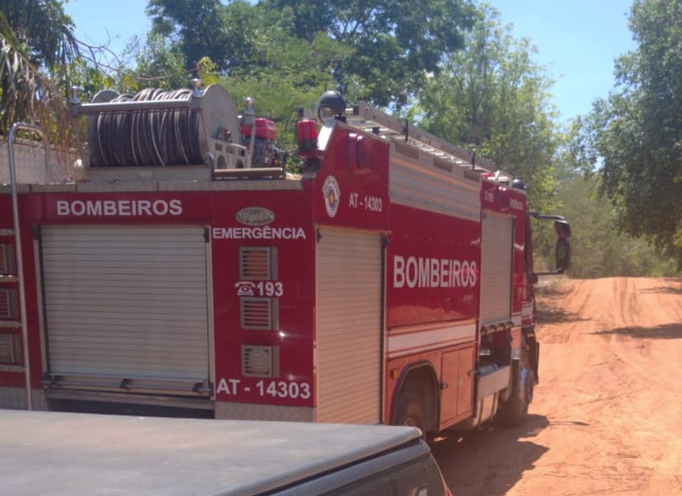 Pescador morreu após ataque de enxame de abelhas no Rio Paraná — Foto: Blog Panorama Notícias 