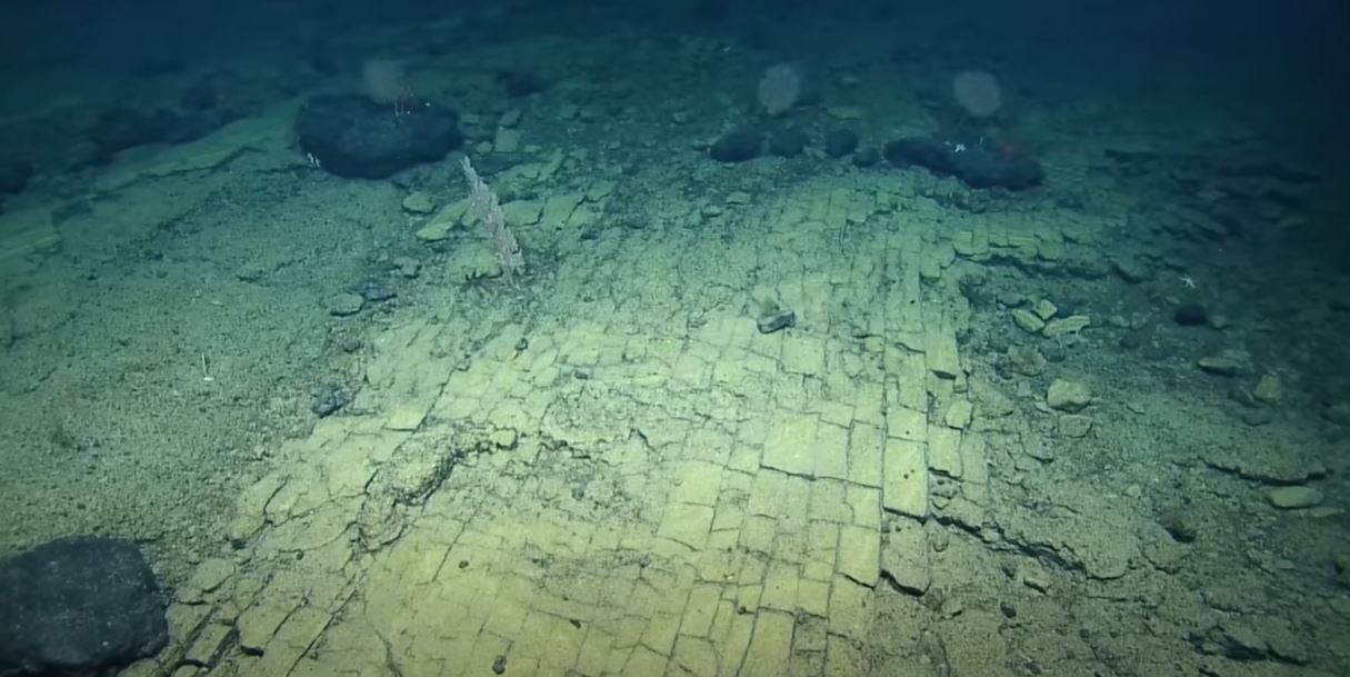 Pesquisadores encontraram 'estrada de tijolos amarelos' em antiga cadeia de vulcões subaquáticos no Oceano Pacífico, (Foto: EVNautilus/Reprodução )