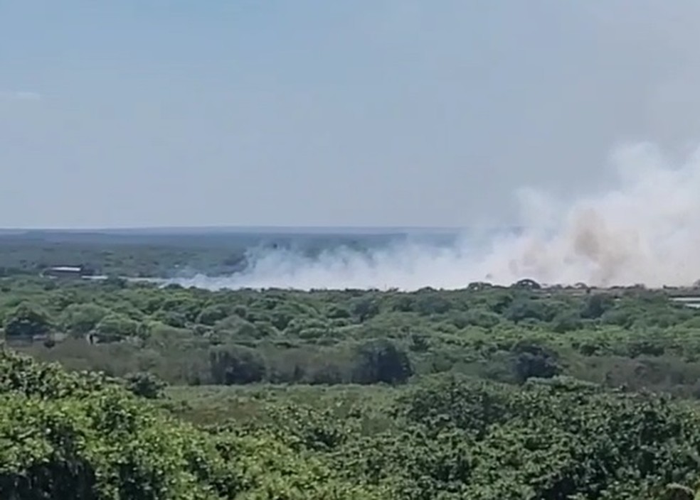 Fogo começou ainda durante a tarde com muita fumaça espalhada pelo vento — Foto: Reprodução