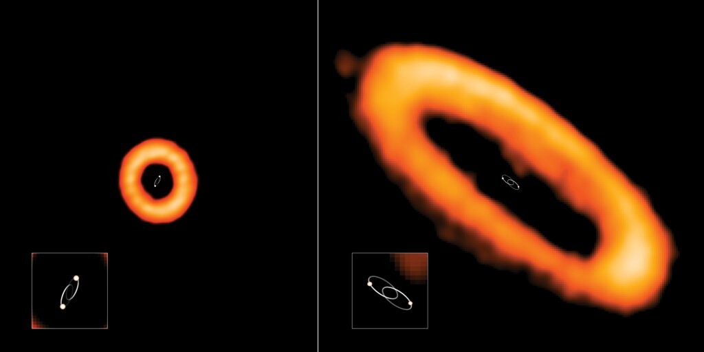 Duas órbitas capturadas pelo telescópio ALMA. Na esquerda, o disco está desalinhado com estrelas binárias internas. As estrelas estão orbitando uma à outra há 315 dias. Já na direita, o disco está alinhado com a órbita de suas estrelas binárias. As estrelas estão orbitando umas às outras em 13,6 dias. (Foto: Reprodução )
