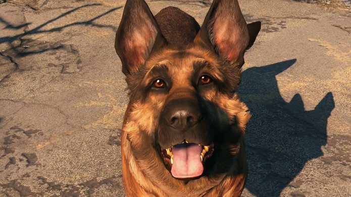 Dogmeat: companion de Fallout 4 (Foto: Reprodução/Fallout 4 Base)