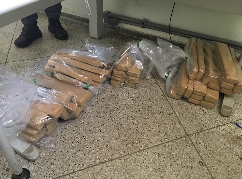 Droga foi apreendida em propriedade rural (Foto: Stephanie Fonseca/G1)