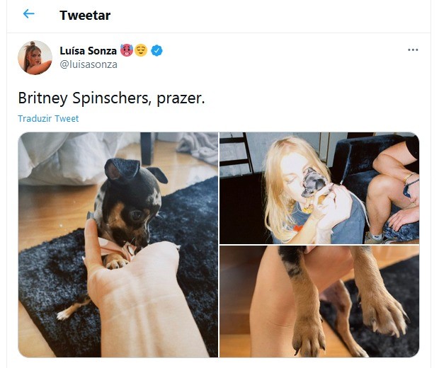 Luísa Sonza e sua nova cadela, Britney Spinschers (Foto: Reprodução/Twitter)