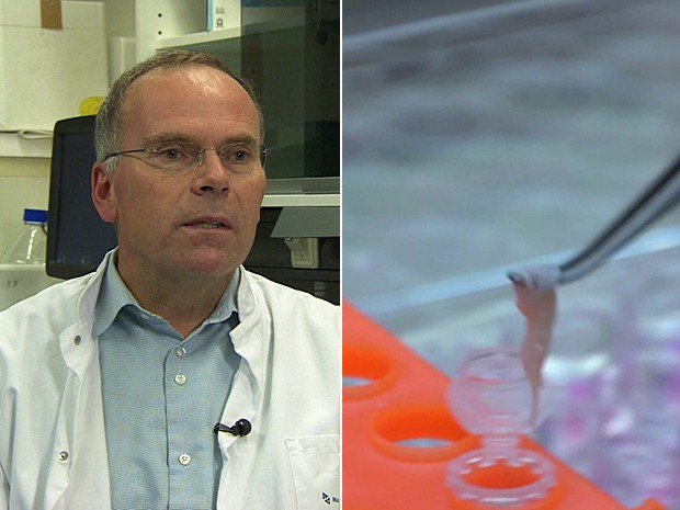   Mark Post, chefe da pesquisa; e ao lado tiras de músculo produzidas (Foto: BBC)
