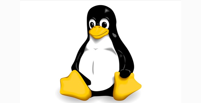 Veja sete distribuições gratuitas do Linux (Foto: Reprodução/Linux)
