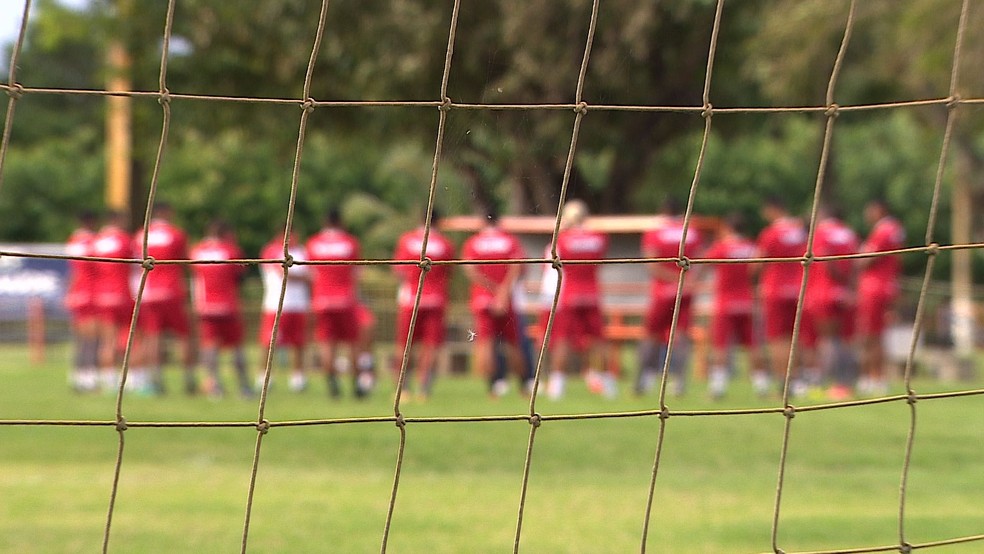 Seis atletas do Sergipe são suspeitos de envolvimento no esquema de apostas — Foto: Reprodução TV Sergipe