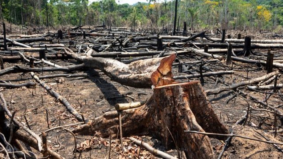 Desmatamento na Amazônia — Foto: Getty Images