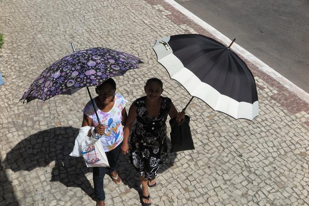 Velocidade dos ventos no Ceará começa a reduzir em outubro — Foto: Honório Barbosa