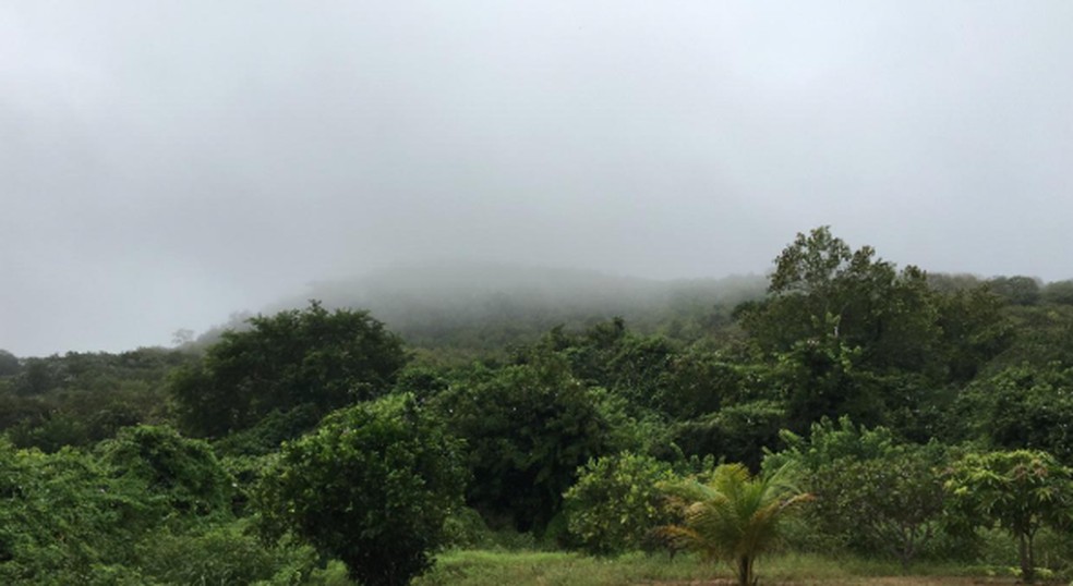 Névoa na Serra do Félix, no município de Beberibe, Litoral Leste do Ceará. — Foto: Neide Freitas/Arquivo Pessoal