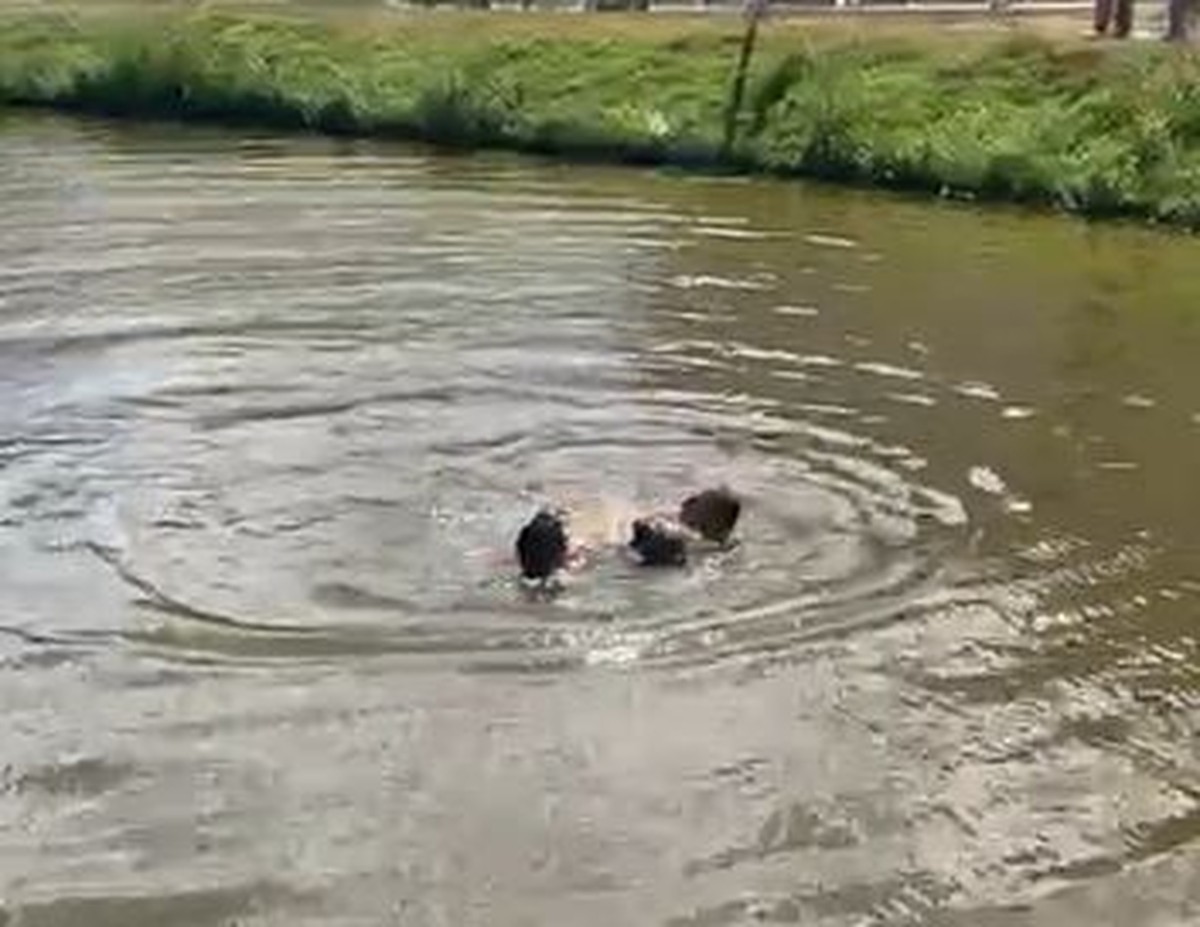 Homem é resgatado com vida após ficar 20 minutos submerso em lagoa, em MG; vídeo