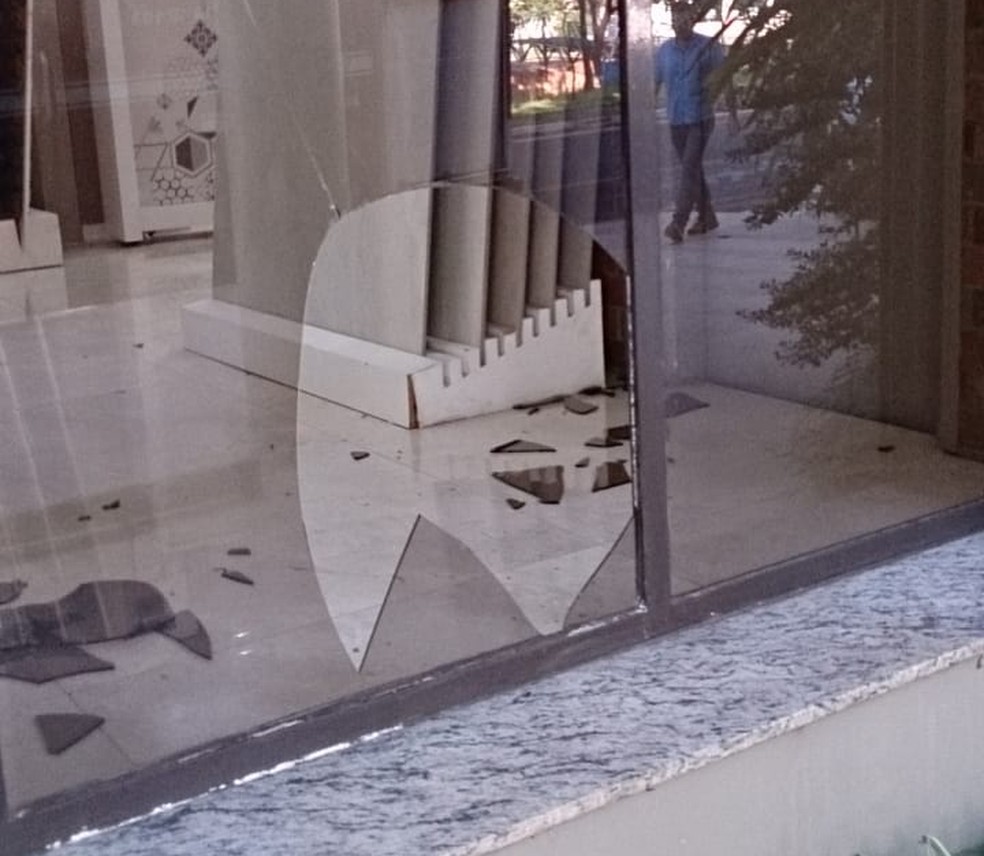 Capivara quebra vitrine e invade loja de materiais de 