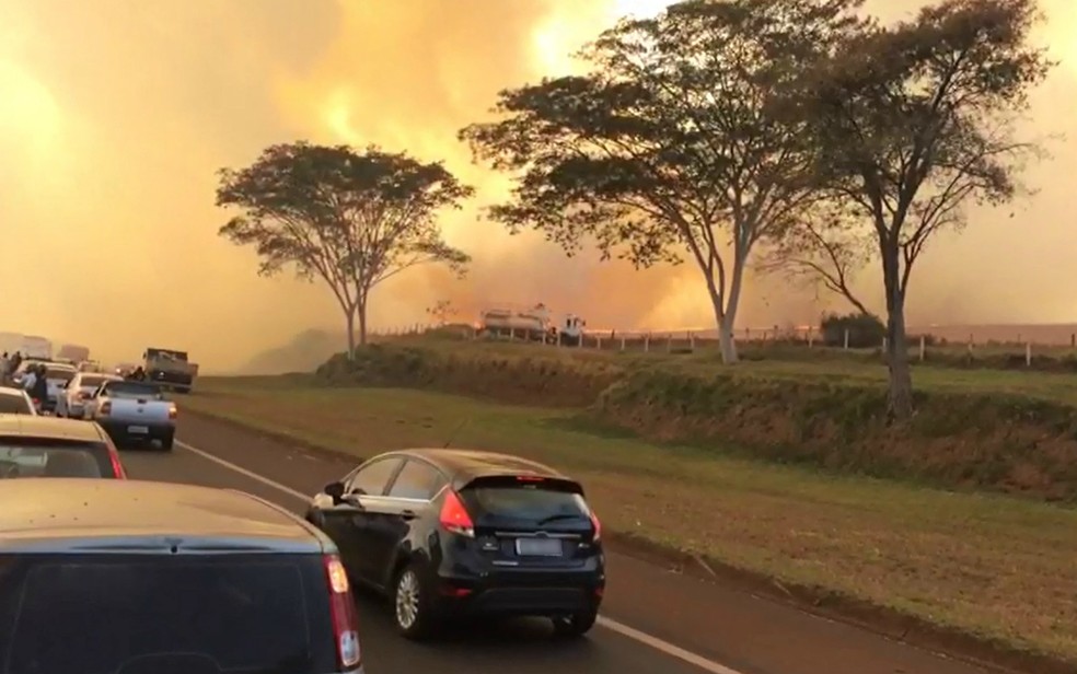 Em 2017, incêndio em canavial fechou o Anel Viário Sul em Ribeirão Preto (Foto: Thaisa Figueiredo/G1)