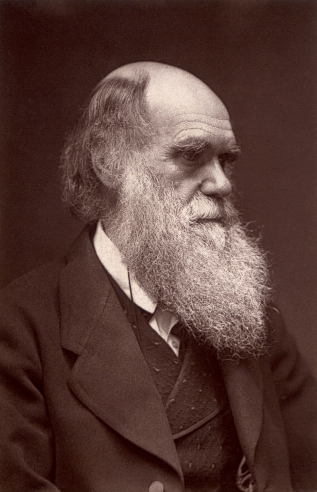 Charles Darwin: 5 livros para entender as ideias do biólogo britânico (Foto: Wikimedia Commons)