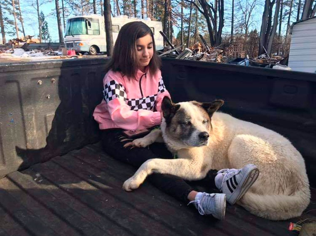 O cão Kingston com Maleah Ballejos, filha de seu dono — Foto: Ben Lepe via AP