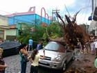 Chuva com ventos fortes provoca queda de árvores em Atibaia, SP