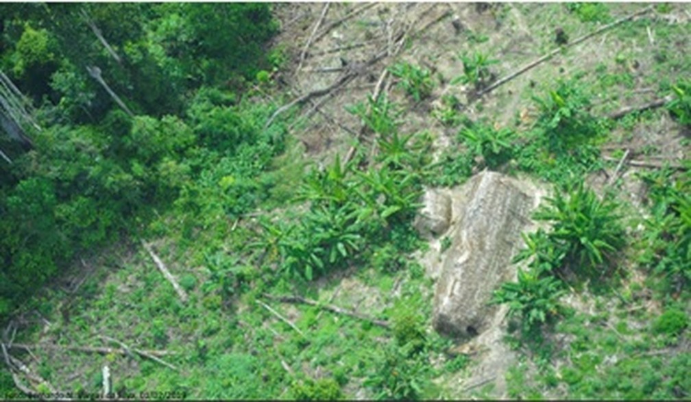 Foto aérea de aldeia da tribo Korubo feita em sobrevoo de funcionários da Funai — Foto: Funai