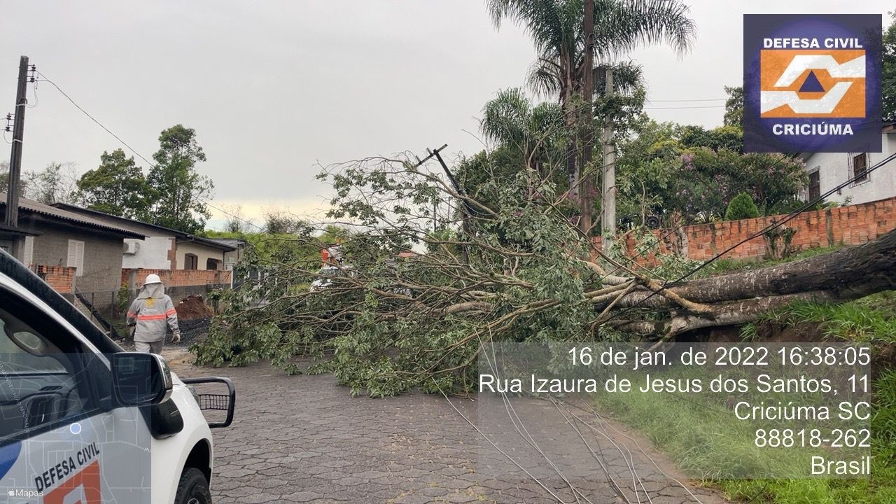 SC registra alagamentos e quedas de árvores após chuva deste domingo