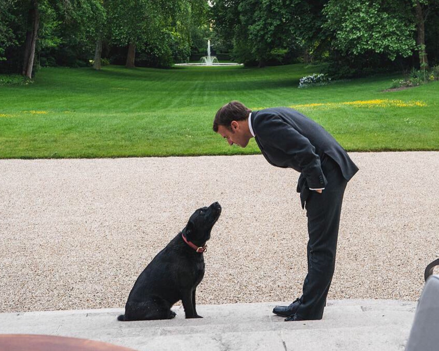 O presidente francês adotou, junto de sua esposa, o cão Nemo, em 2017 (Foto: Twitter/ @EmmanuelMacron/ Reprodução)