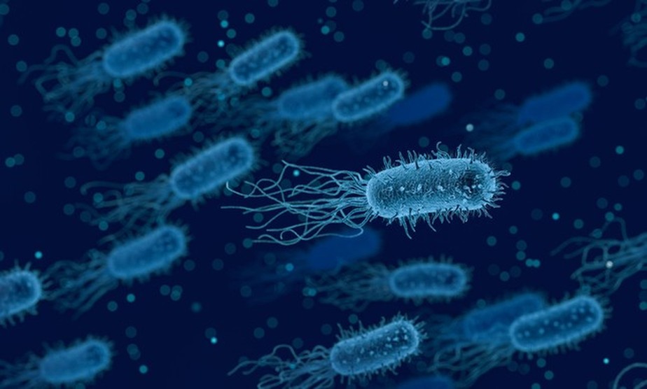 Bactérias podem se tornar resistentes a medicamentos