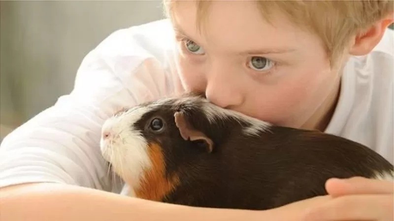 Crianças costumam formar fortes laços com animais de estimação, mas benefícios são muito maiores, segundo pesquisas (Foto: Getty Images via BBC News)