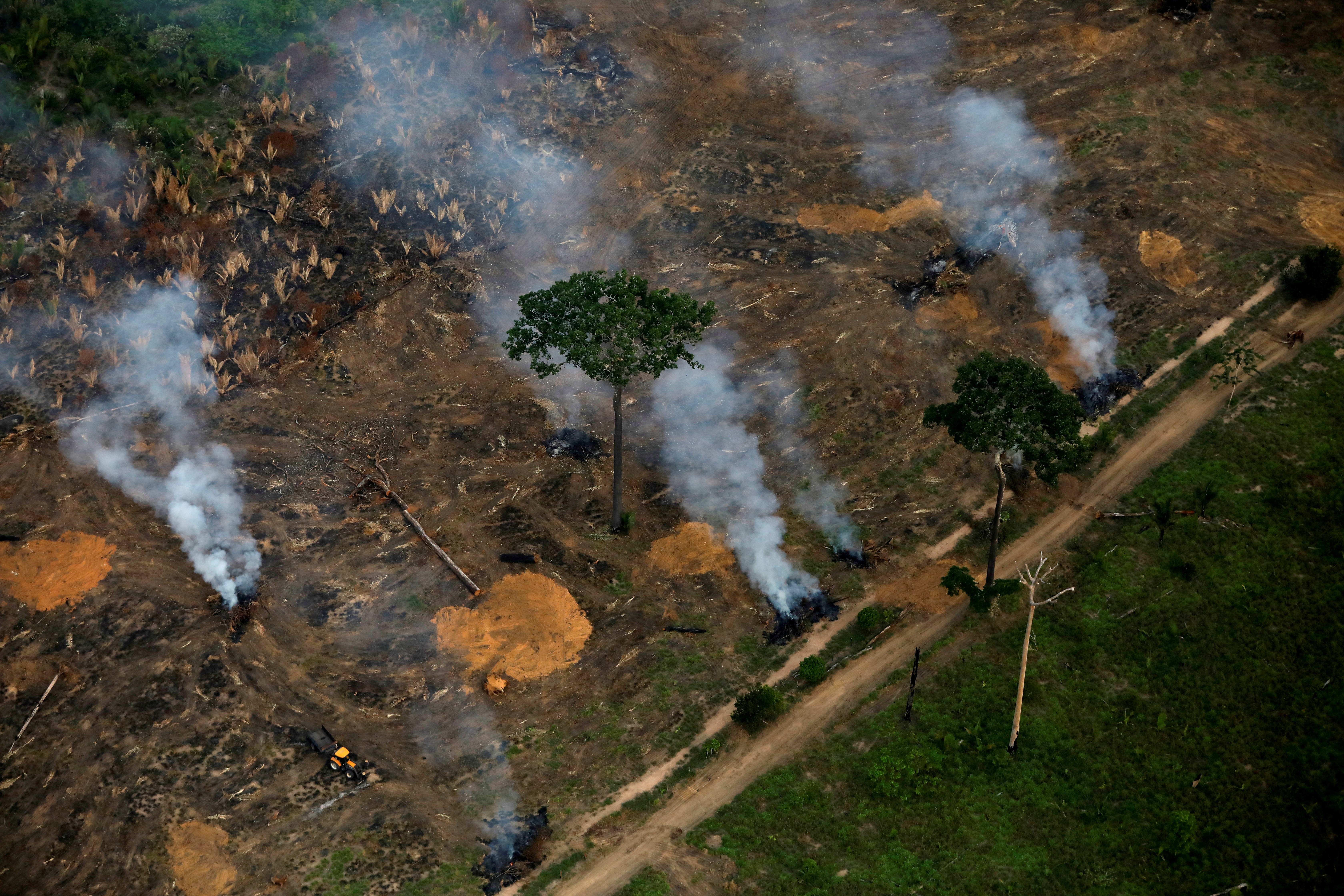 Governo prorroga prazo para uso da Força Nacional no combate a incêndios na Amazônia thumbnail