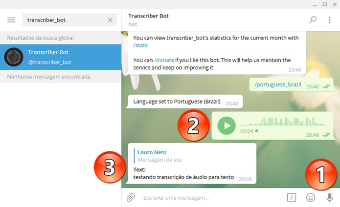 Transcrevendo áudio em texto com o Transcriber_bot (Foto: Felipe Alencar/TechTudo) 