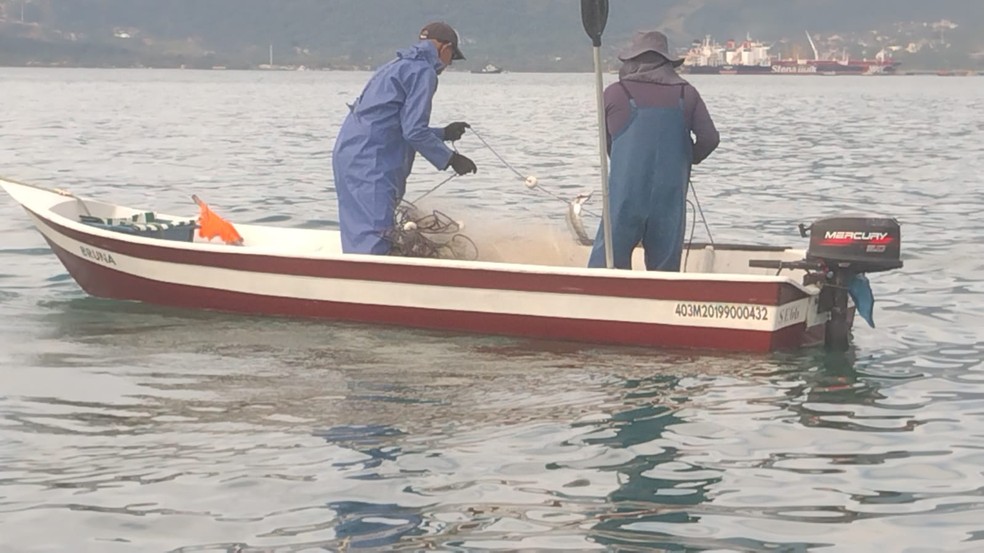 Dois homens são multados em R$ 4 mil por pesca irregular em São Sebastião — Foto: Divulgação/Polícia Ambiental