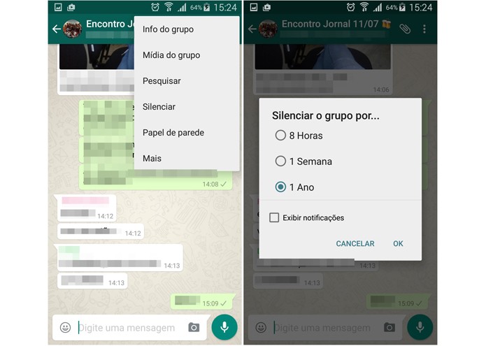 Silencie as notificações dos grupos no WhatsApp (Foto: Reprodução/Lívia Dâmaso)