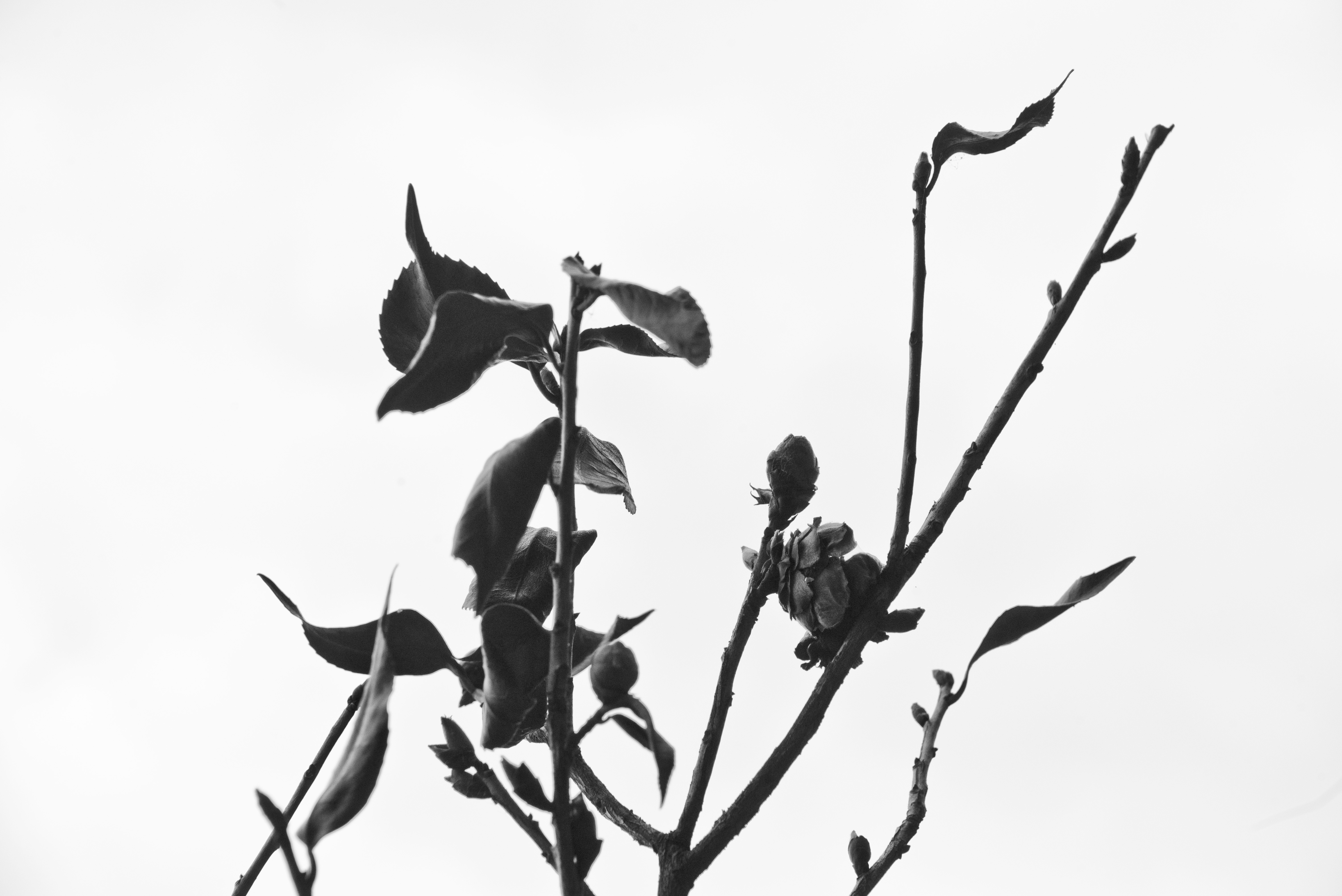 Exposição fotográfica gratuita aborda sustentabilidade e reciclagem em Indaiatuba