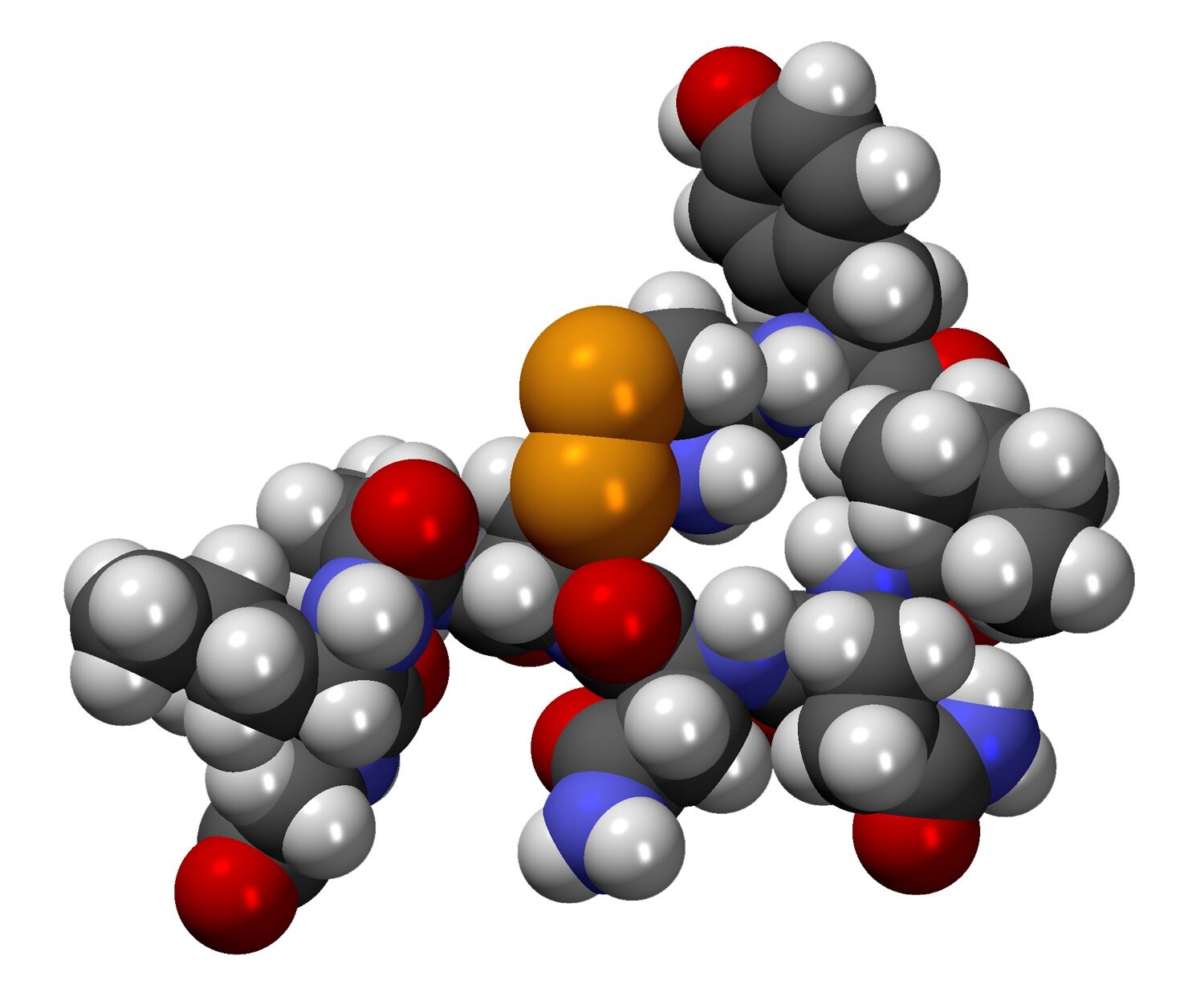 Modelo representa a molécula de ocitocina  (Foto: Creative Commons )
