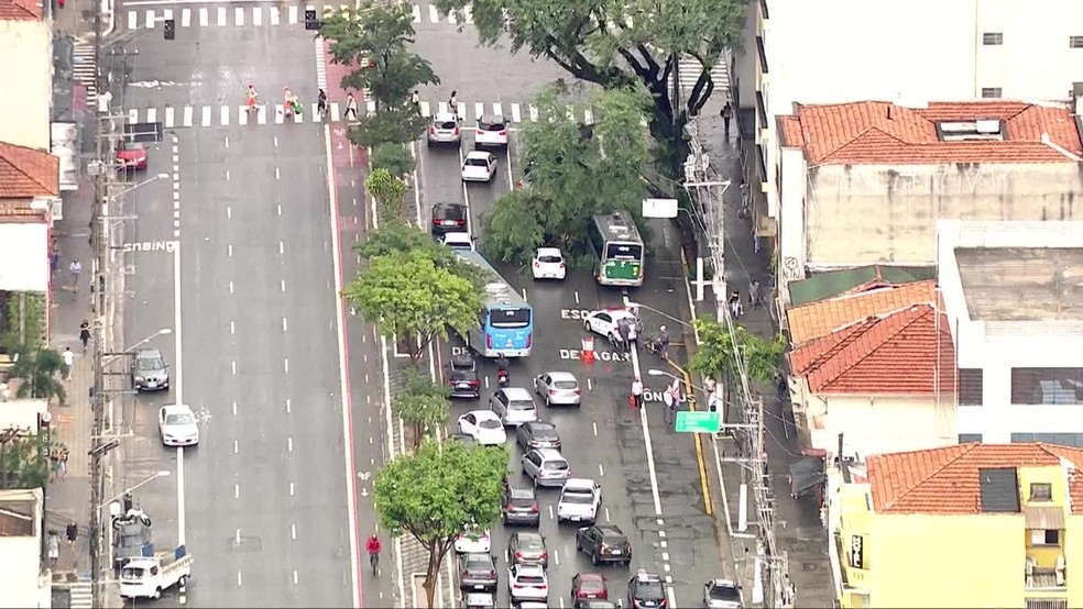 Árvore cai sobre ônibus em SP e corredor é bloqueado pela PM — Foto: TV Globo/reprodução