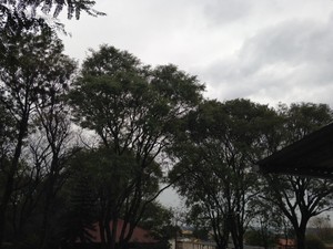 Santa Maria amanheceu com chuva nesta quarta-feira (23) (Foto: Michele Dias/RBS TV)