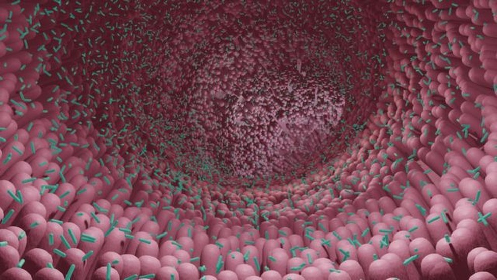 Alterações na microbiota podem afetar saúde do intestino — Foto: Getty Images via BBC News Brasil