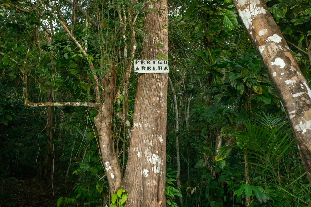 Entrada de um dos apiários de Alagoas: em Porto Calvo, aviso sinaliza presença de abelhas — Foto: Celso Tavares/G1