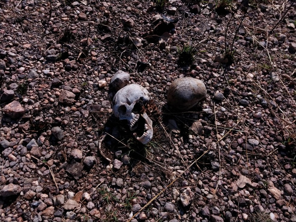 Trabalhador que limpava terreno encontrou ossadas de 2 homens decapitados por facção em Cuiabá — Foto: DHPP/Assessoria