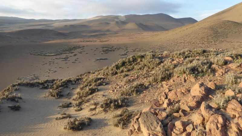 O cinturão desértico entre Peru e Chile é hiperárido e considerado o mais seco do mundo (Foto: CORTESÍA JUSTIN MOAT via BBC News)