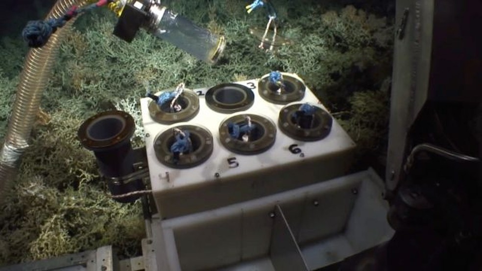 Equipamento de robótica subaquática permitiu a exploração em profundidades que esmagariam mergulhadores humanos — Foto: Atlas via BBC