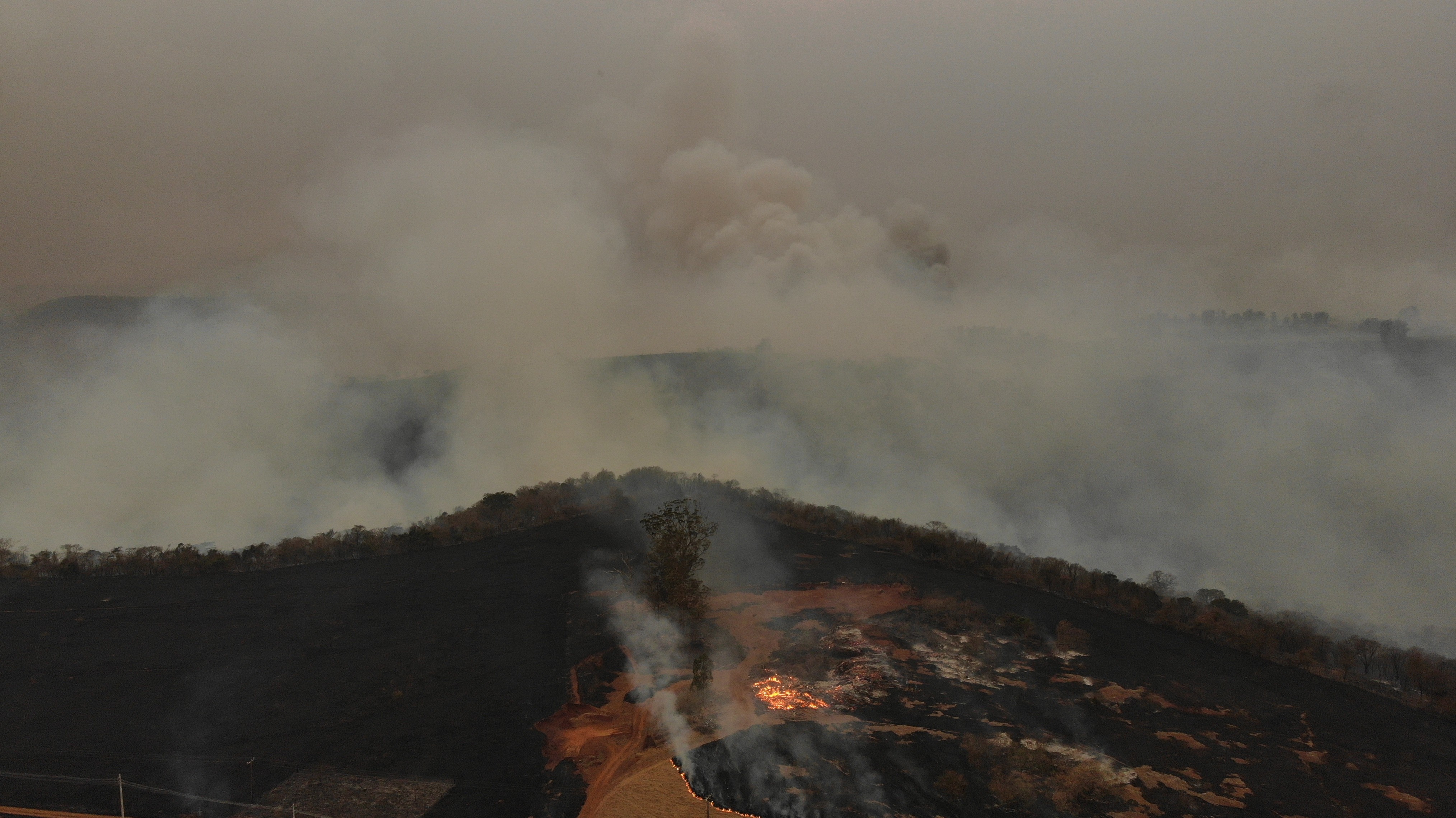 Focos de incêndio em fazenda da Embrapa Pecuária Sudeste (Foto: Divulgação)