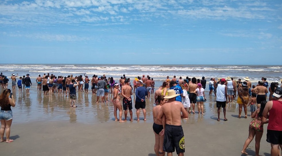 Incidente com criança e tubarão ocorreu em Ilha Comprida, SP  — Foto:  Reprodução/Rócio Um Bom Lugar Iguape